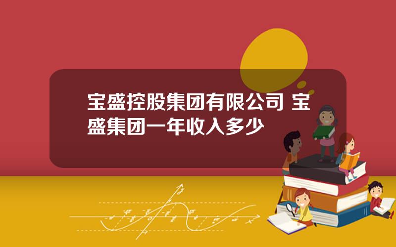 宝盛控股集团有限公司 宝盛集团一年收入多少